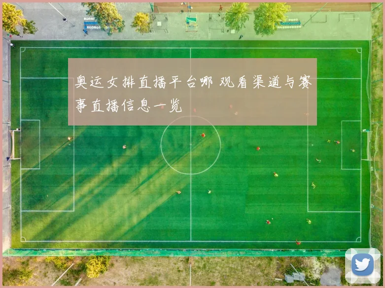 奥运女排直播平台哪 观看渠道与赛事直播信息一览