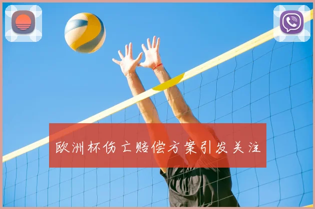 欧洲杯伤亡赔偿方案引发关注