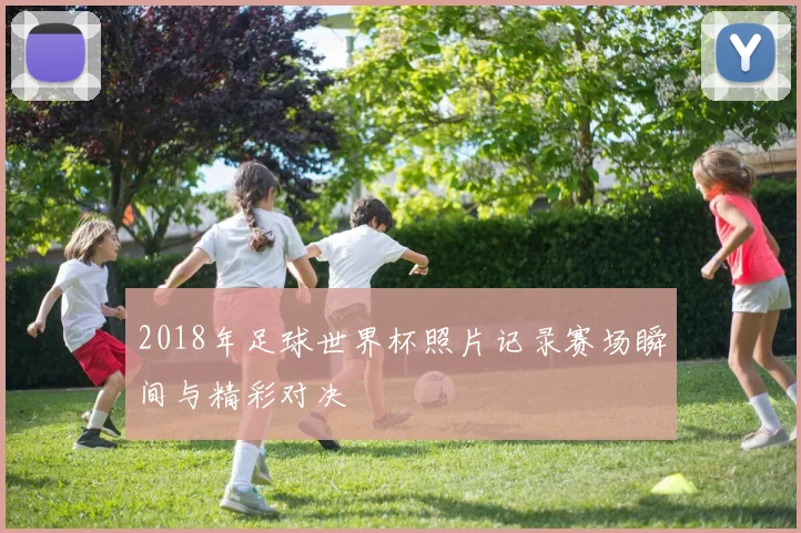 2018年足球世界杯照片记录赛场瞬间与精彩对决