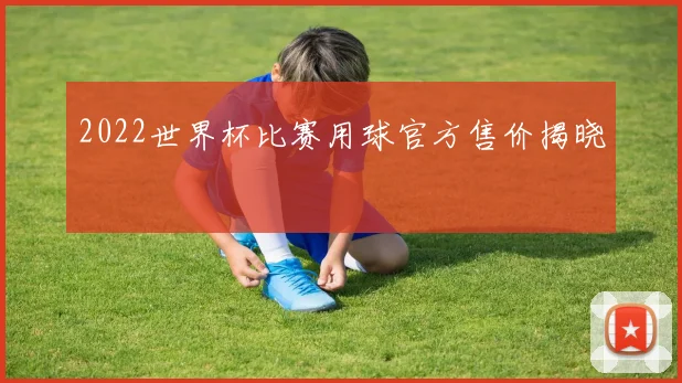 2022世界杯比赛用球官方售价揭晓