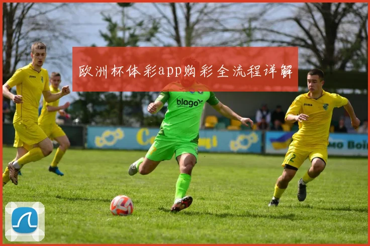 欧洲杯体彩app购彩全流程详解