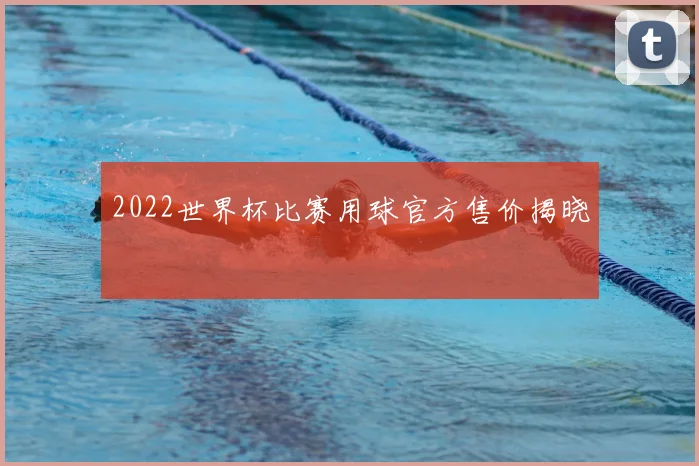 2022世界杯比赛用球官方售价揭晓