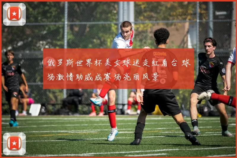 俄罗斯世界杯美女球迷走红看台 球场激情助威成赛场亮丽风景